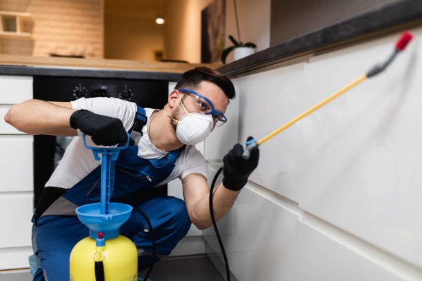Best Residential Pest Control  in East Jordan, MI