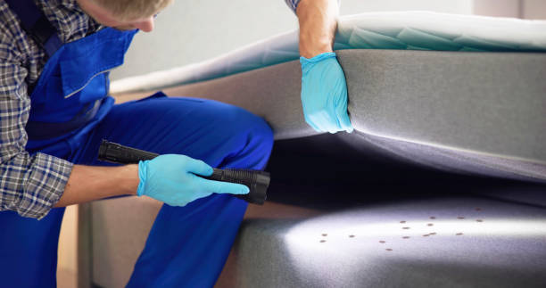 Best Cockroach Control Services  in East Jordan, MI