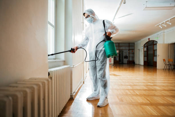Best Termite Control Services  in East Jordan, MI