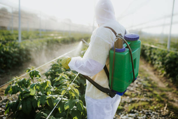 Best Local Pest Control Services  in East Jordan, MI